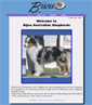 Bijou Australian Shepherds