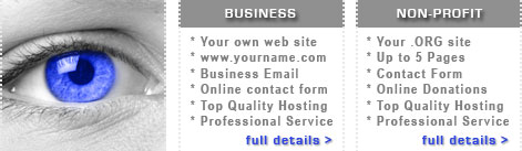 Web Design for Small Businesses and Non-Profit Organizations